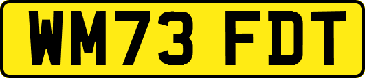 WM73FDT