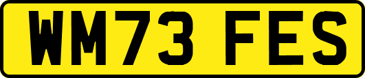 WM73FES