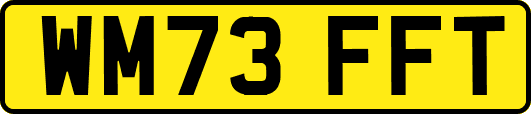 WM73FFT