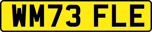 WM73FLE