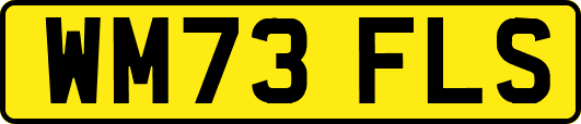 WM73FLS