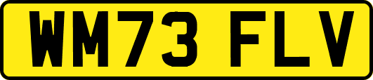 WM73FLV