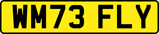 WM73FLY