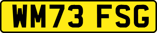 WM73FSG