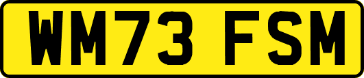 WM73FSM