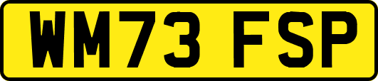 WM73FSP