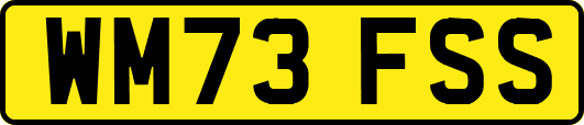 WM73FSS