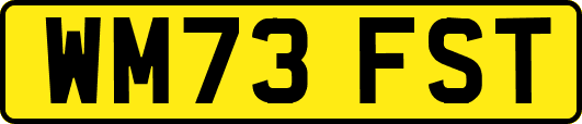 WM73FST