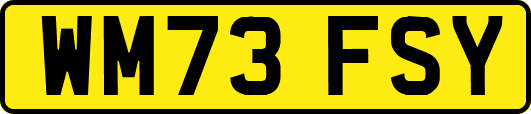 WM73FSY