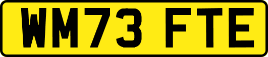 WM73FTE