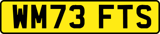 WM73FTS