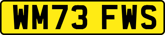 WM73FWS