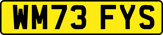 WM73FYS