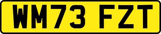 WM73FZT