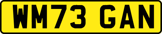 WM73GAN