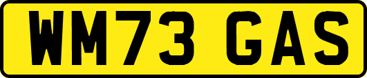 WM73GAS
