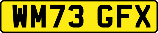 WM73GFX