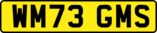 WM73GMS