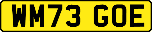 WM73GOE