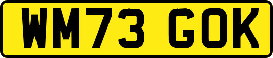 WM73GOK