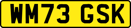 WM73GSK