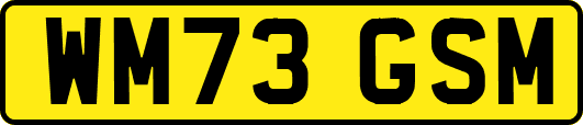 WM73GSM