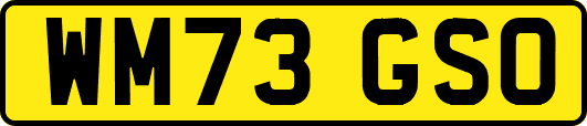WM73GSO