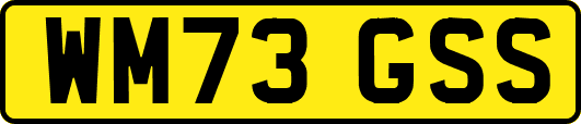 WM73GSS