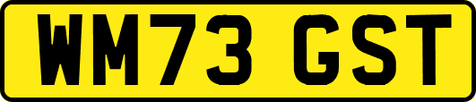 WM73GST