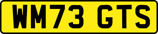 WM73GTS