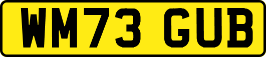 WM73GUB