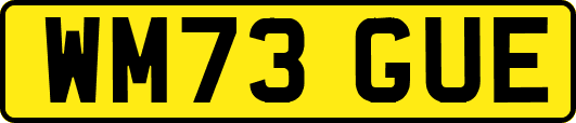 WM73GUE