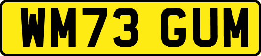 WM73GUM