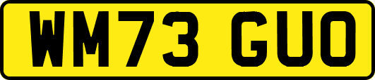 WM73GUO