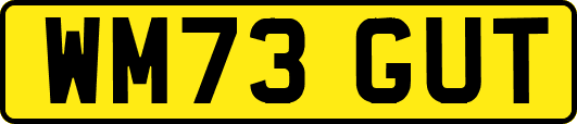 WM73GUT