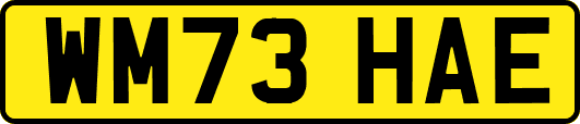 WM73HAE