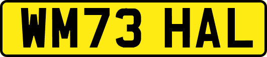 WM73HAL
