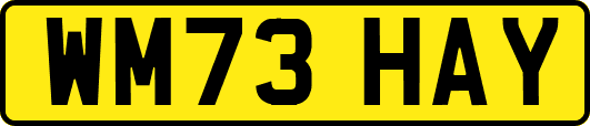 WM73HAY