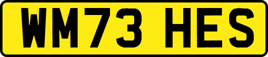 WM73HES