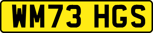 WM73HGS
