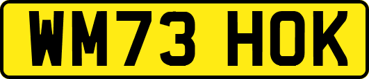 WM73HOK