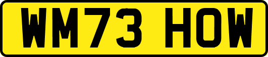 WM73HOW