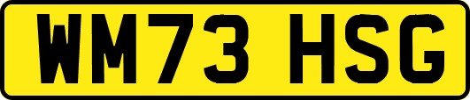 WM73HSG