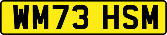 WM73HSM