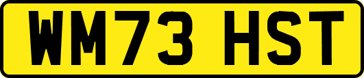 WM73HST