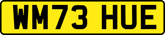 WM73HUE
