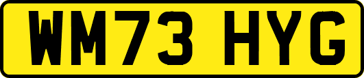 WM73HYG