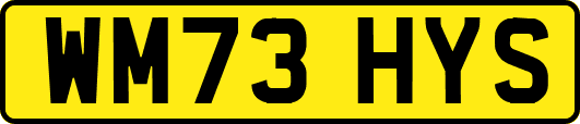 WM73HYS