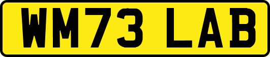 WM73LAB