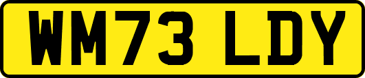 WM73LDY